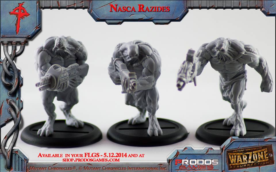 Nasca Razides