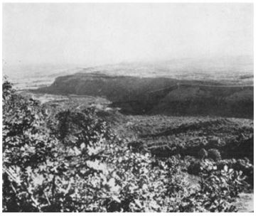 looking North-East to Katerini from 28 Maori Batt position in Olympus pass 1941