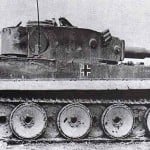 tiger-131