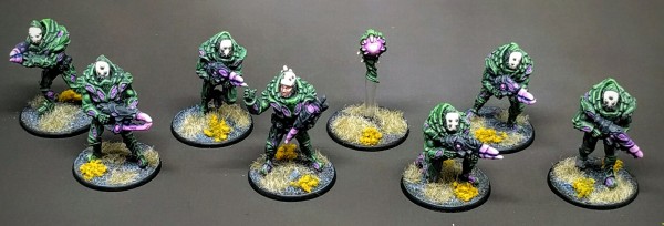 Gallery: Isorian Paint Schemes