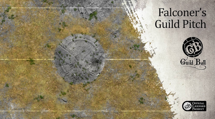 Official Falconers guild pitch released from Deep-Cut Studio