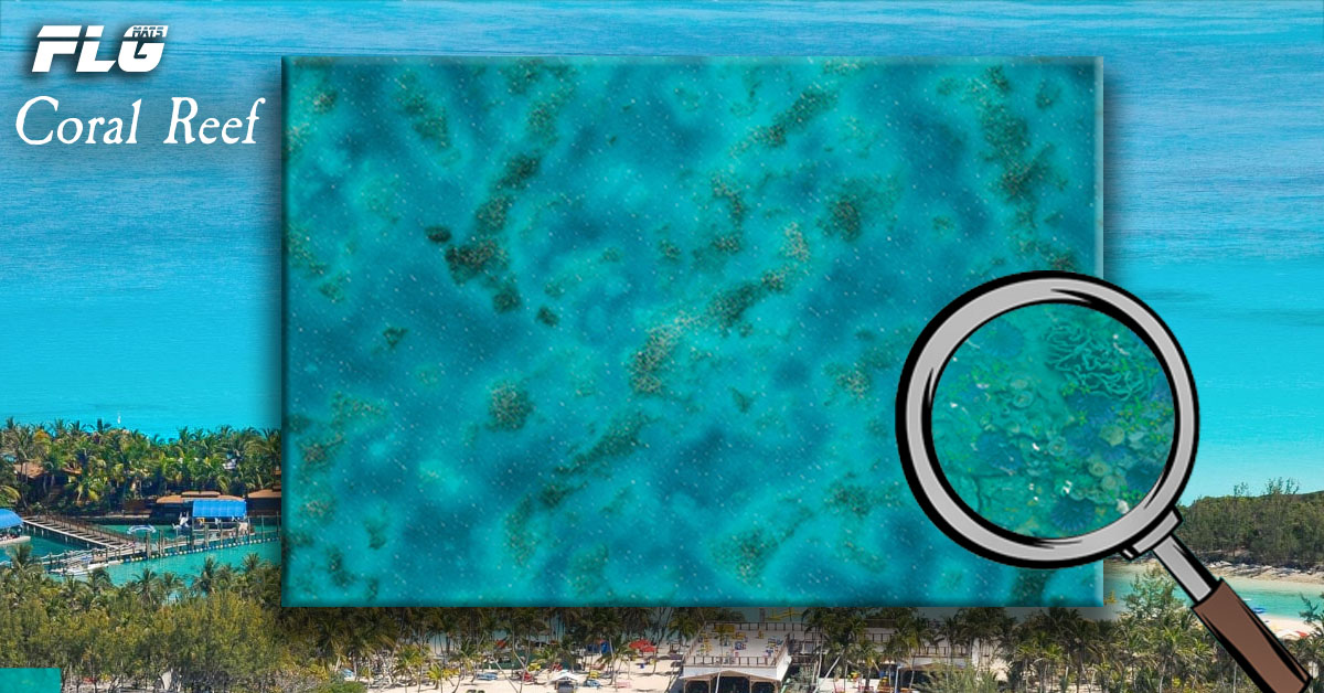 New FLG Mat Closer Look: Coral Reef